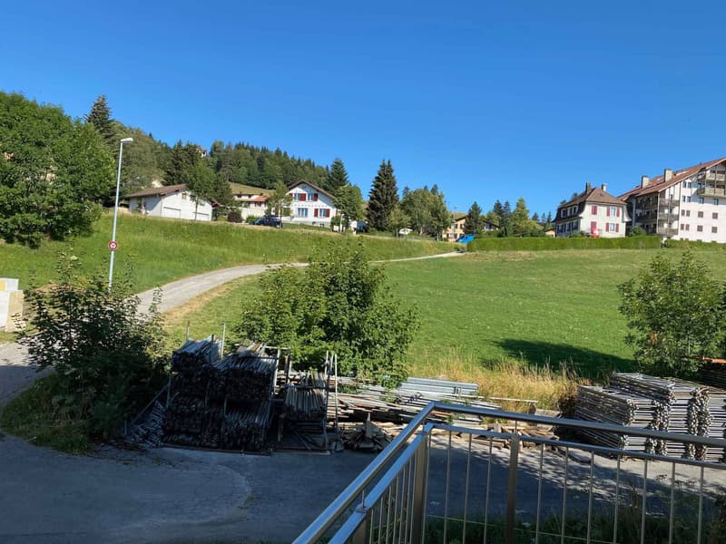Très bel appartement de 3.5 pièces au 1er étage (2)