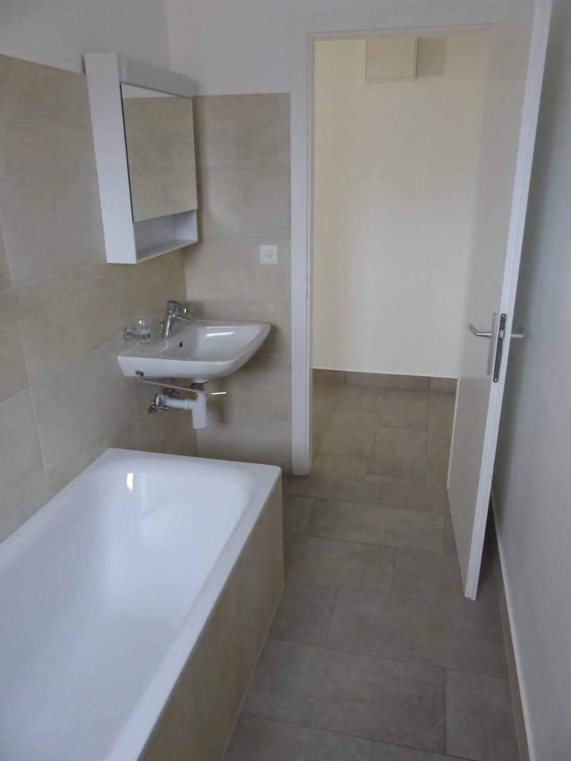 Appartement de 3.5 pièces 2? étage Rue France 14 (13)
