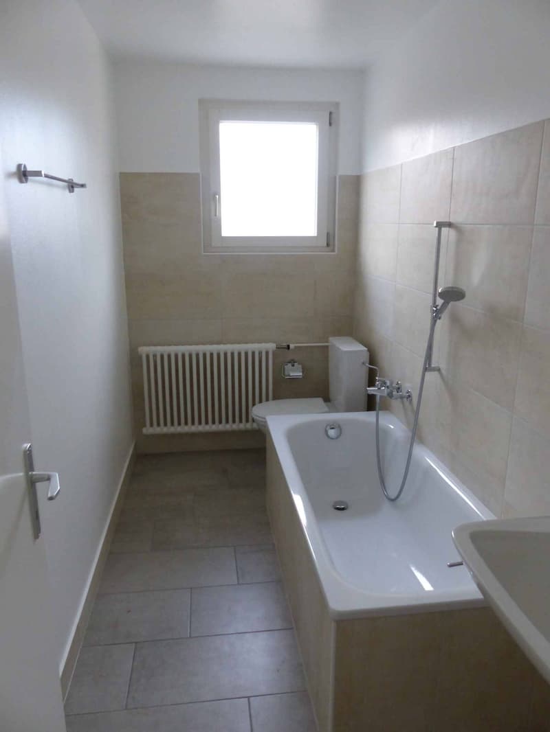 Appartement de 3.5 pièces 2? étage Rue France 14 (10)