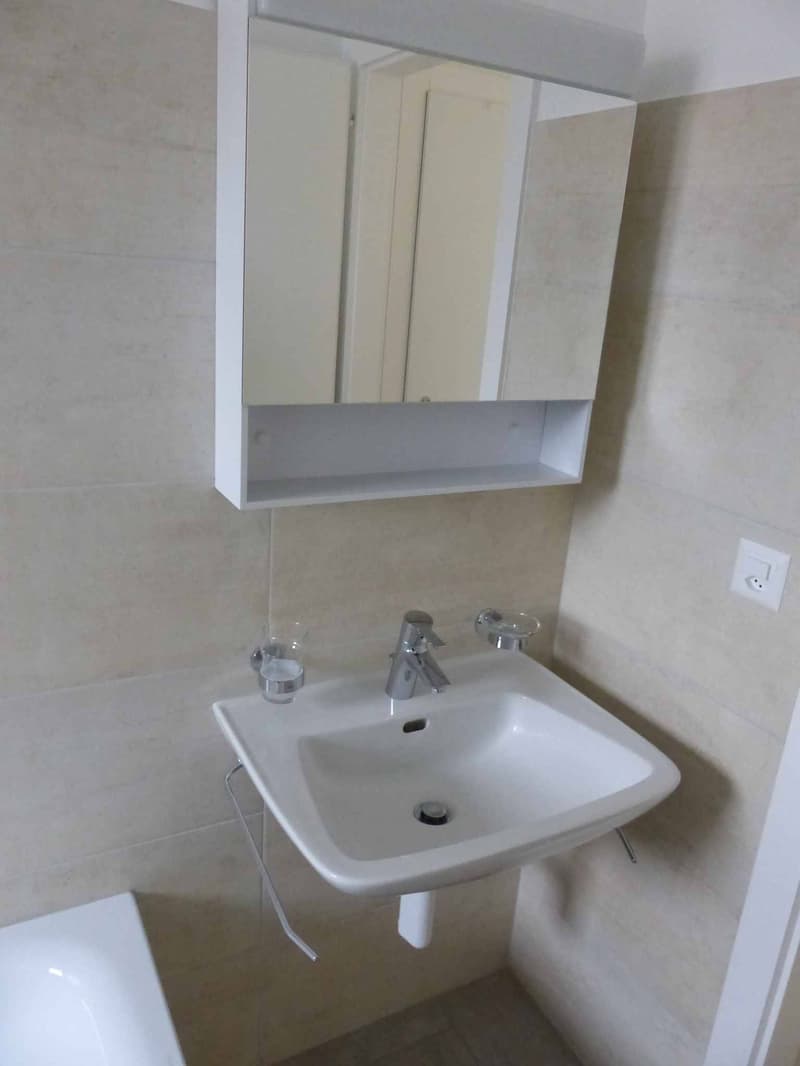 Appartement de 3.5 pièces 2? étage Rue France 14 (11)