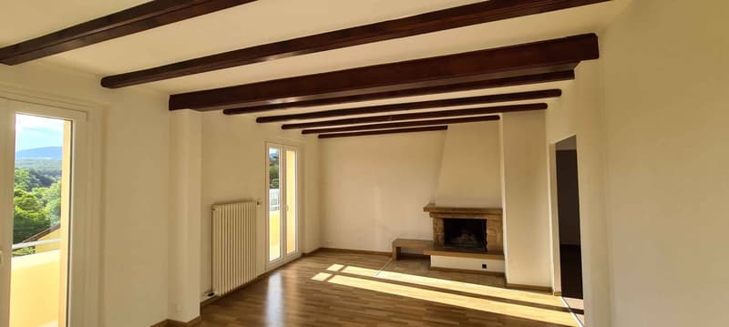 À louer  Spacieux appartement de 4 pièces avec conciergerie à repourvoir (5)
