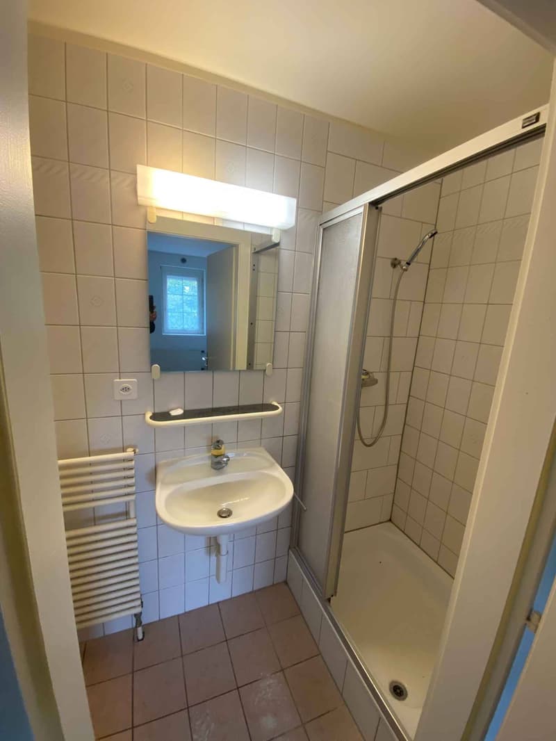 Studio de 20 m2 au centre du village d'Agiez (1352) (6)