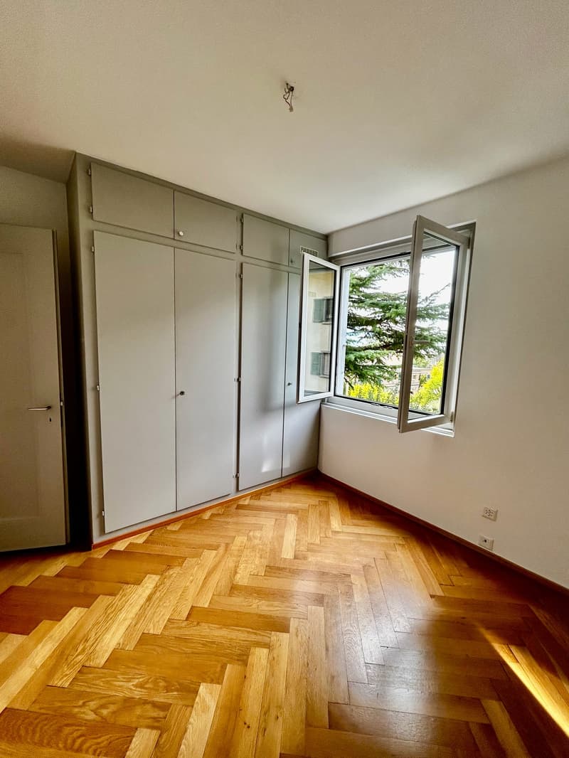 Appartement de charme avec vue panoramique sur le lac à Montreux (8)