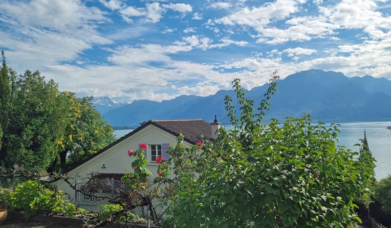 Très belle maison de charme, magnifique vue sur le lac et les Alpes ! (2)
