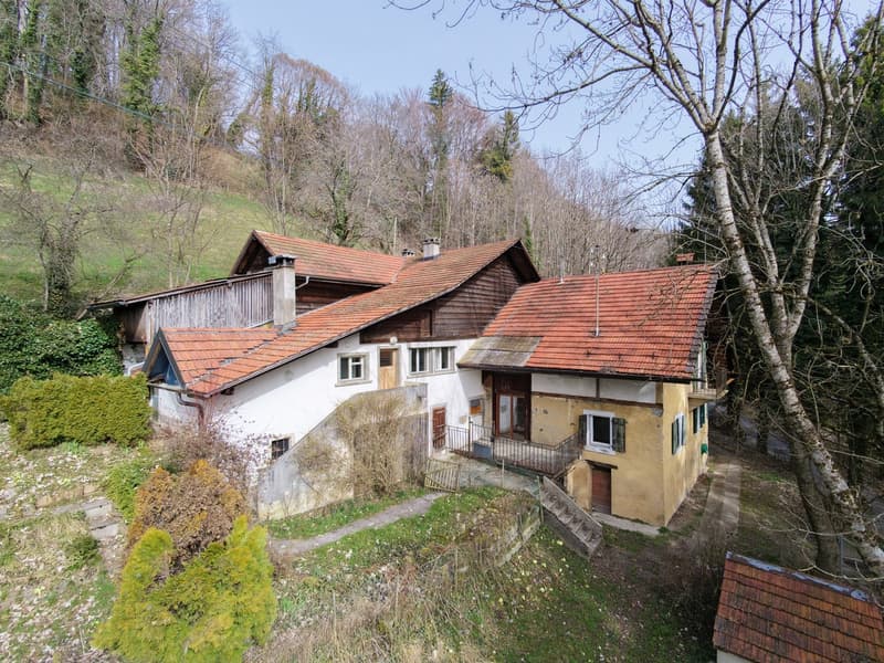 Charmante ferme de 3 appartements + annexes à rénover ! (1)
