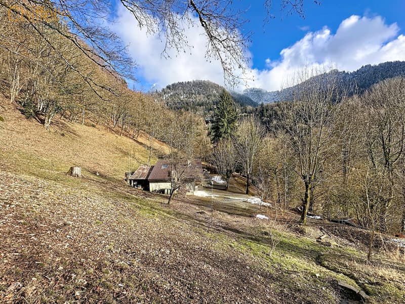 Maison rénovée dans un havre de paix et de nature, 4x4 indispensable (10)
