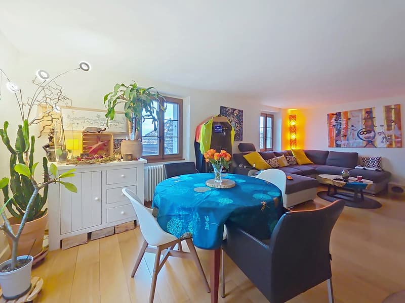 Charmante maison villageoise rénovée de 3 logements, très belle vue ! (6)