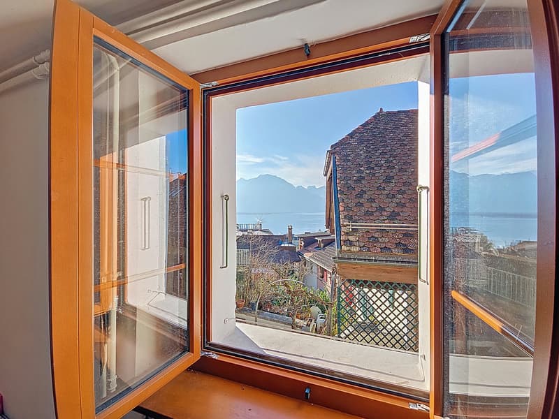 Charmante maison villageoise rénovée de 3 logements, très belle vue ! (9)
