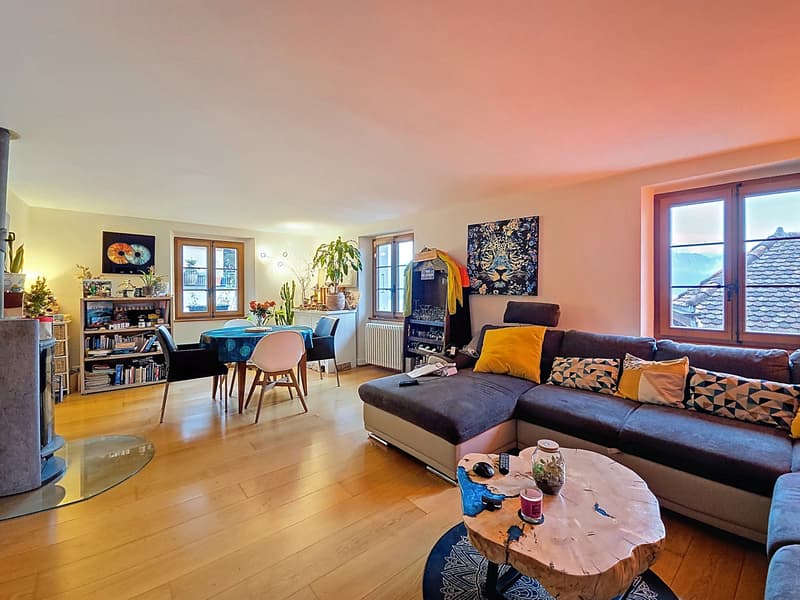 Charmante maison villageoise rénovée de 3 logements, très belle vue ! (4)