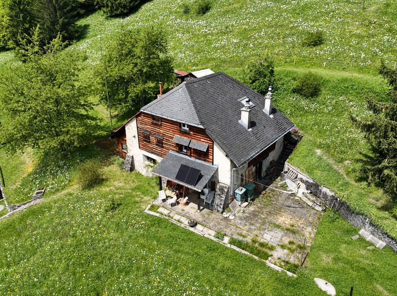 Chalet de charme au coeur des narcisses (1)