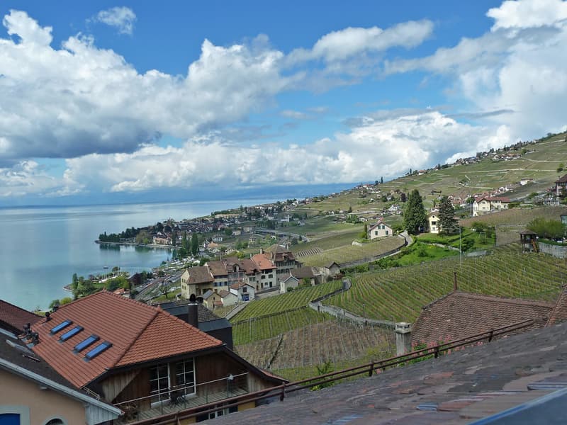 Belle maison vigneronne entièrement rénovée et vues magnifiques ! (4)