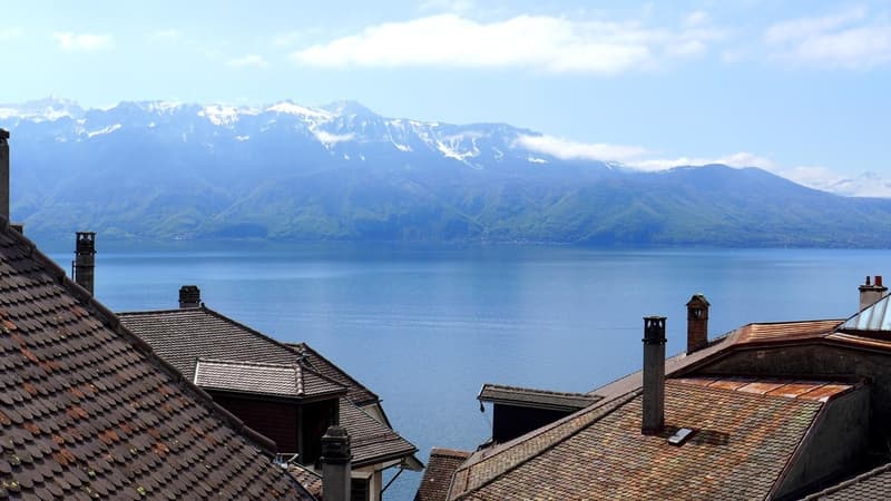 Magnifique demeure vigneronne entièrement rénovée, vue sur le lac ! (1)