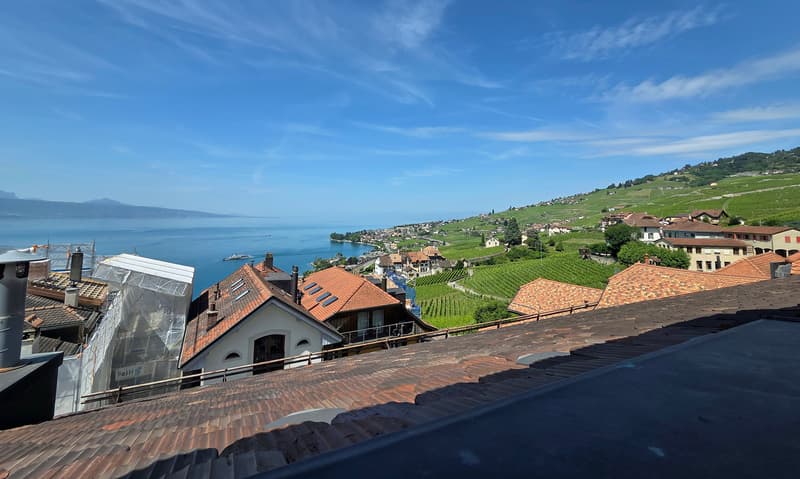 Magnifique demeure vigneronne entièrement rénovée, vue sur le lac ! (3)