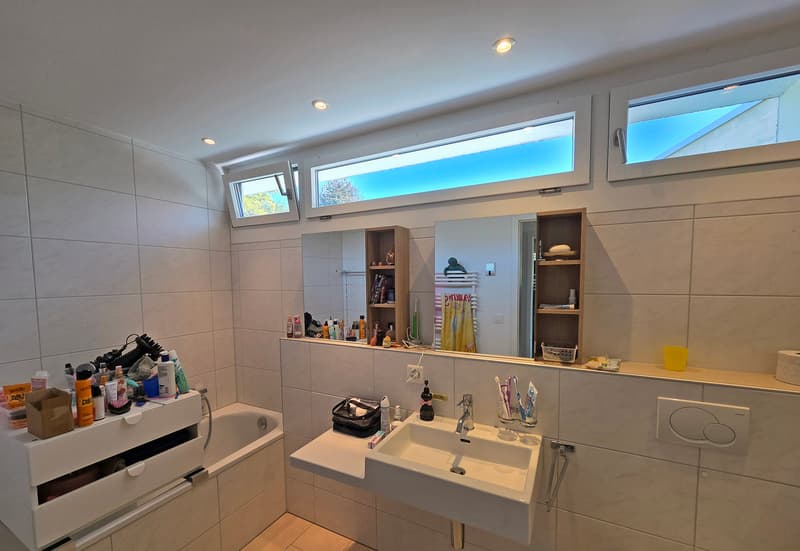 Magnifique appartement 4.5 p. 134 m2, au calme, terrasse et vue ! (6)