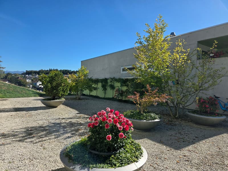 Magnifique appartement 4.5 p. 134 m2, au calme, terrasse et vue ! (7)