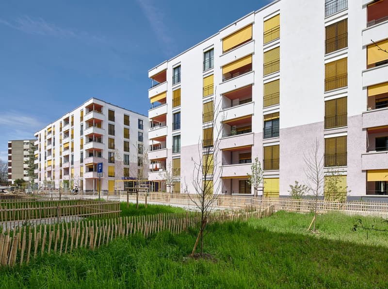 Superbo appartamento di 5 locali – spazioso e luminoso – 3° piano (7)