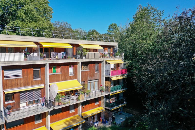 Bello appartamento 3 locali – 73m² – Yverdon-les-Bains (2)