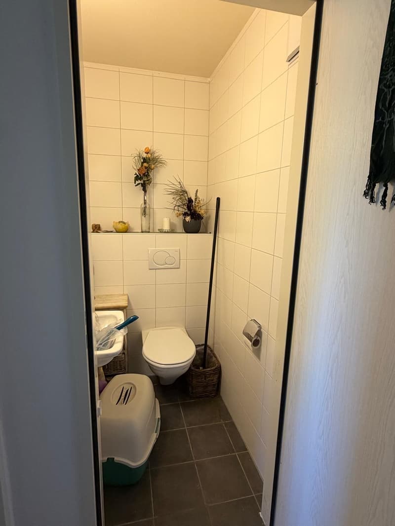 Charmant appartement de 3 pièces à Palézieux – Orée des Bois 6 (9)
