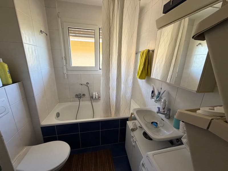 Charmant appartement de 3 pièces à Palézieux – Orée des Bois 6 (5)