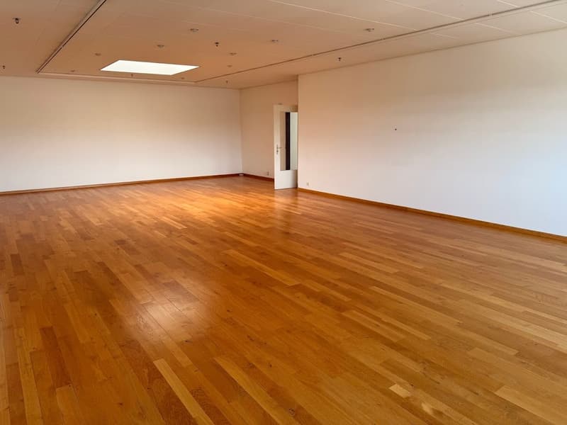 Large open room with hardwood flooring, white walls, and recessed lighting in the ceiling.