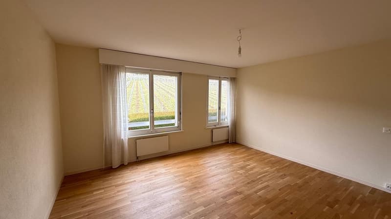 Meraviglioso appartamento di 6 locali ristrutturato a Lutry (7)