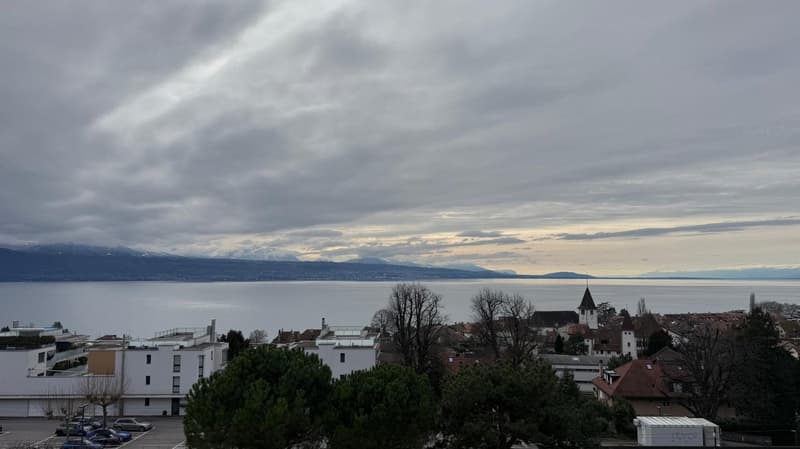 Meraviglioso appartamento di 6 locali ristrutturato a Lutry (17)