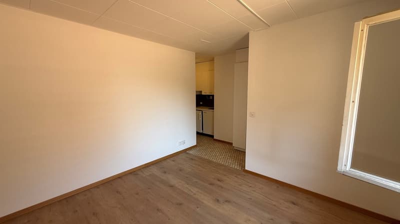 Appartamento monolocale a Morges (2)