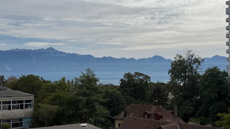 Magnifique appartement avec vue sur le Lac (1)