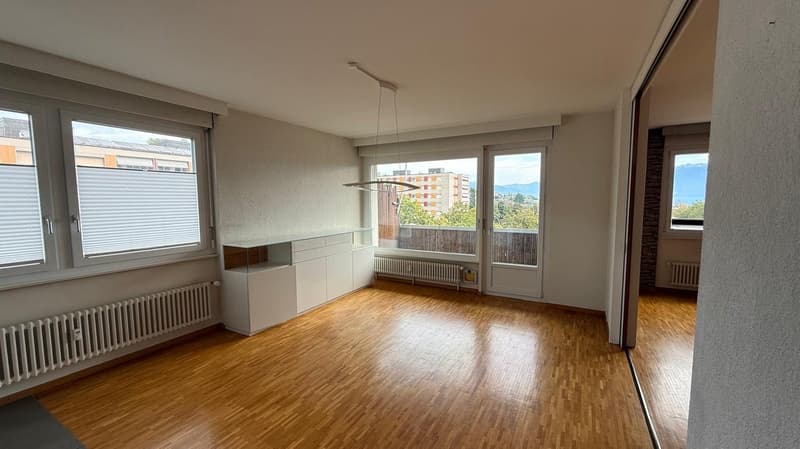 Magnifique appartement avec vue sur le Lac (3)