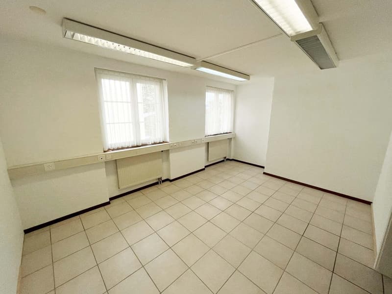 Locale commerciale a Saint-Sulpice (3)