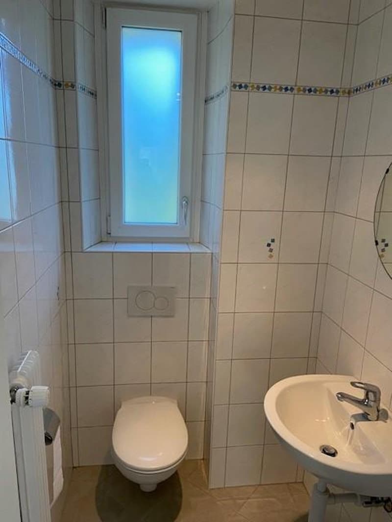 Apartment with 3.5 rooms in small building (10)