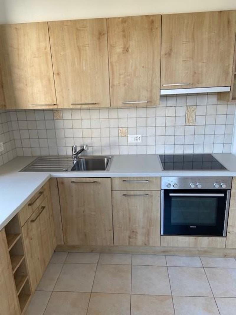 Apartment with 3.5 rooms in small building (7)