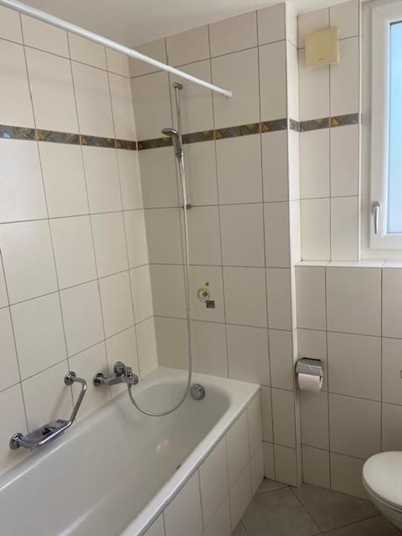 Apartment with 3.5 rooms in small building (9)