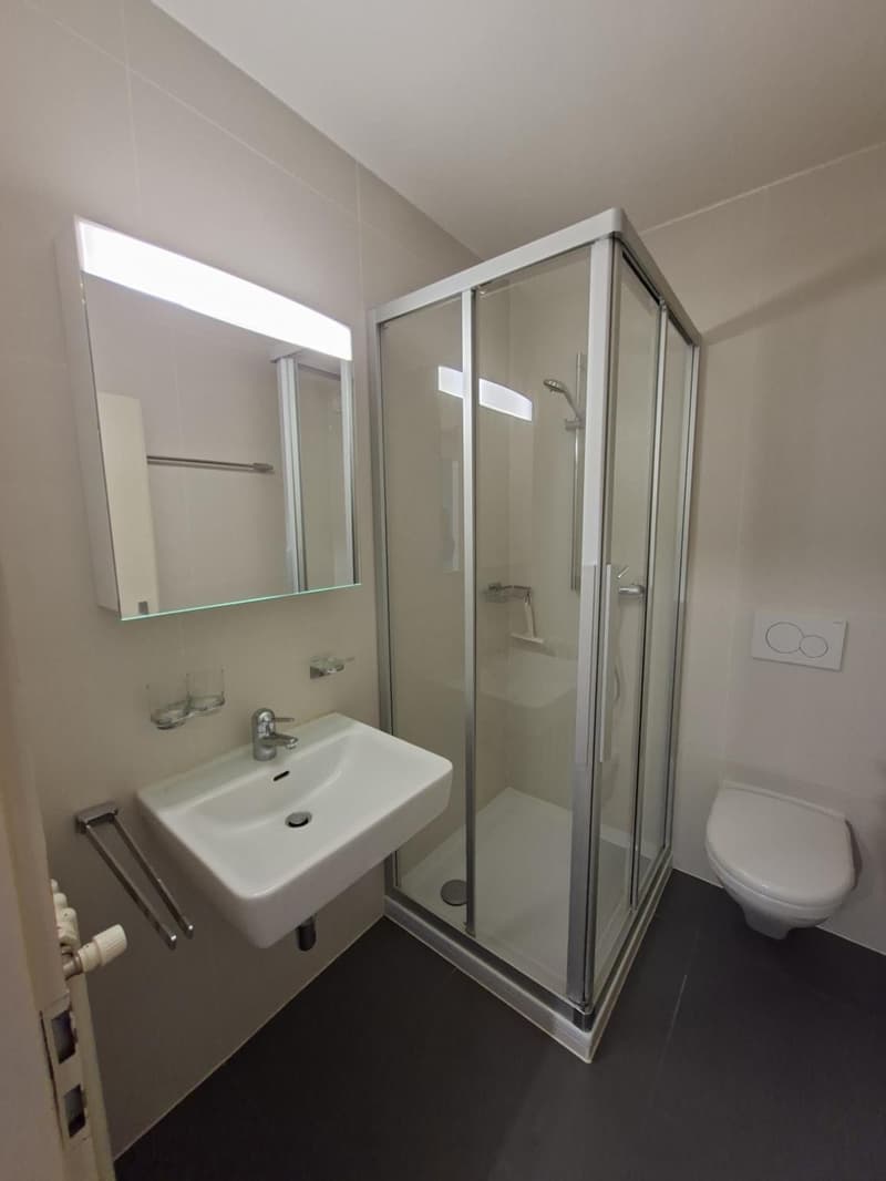 Appartement de 4.5 pièces à Lausanne (7)