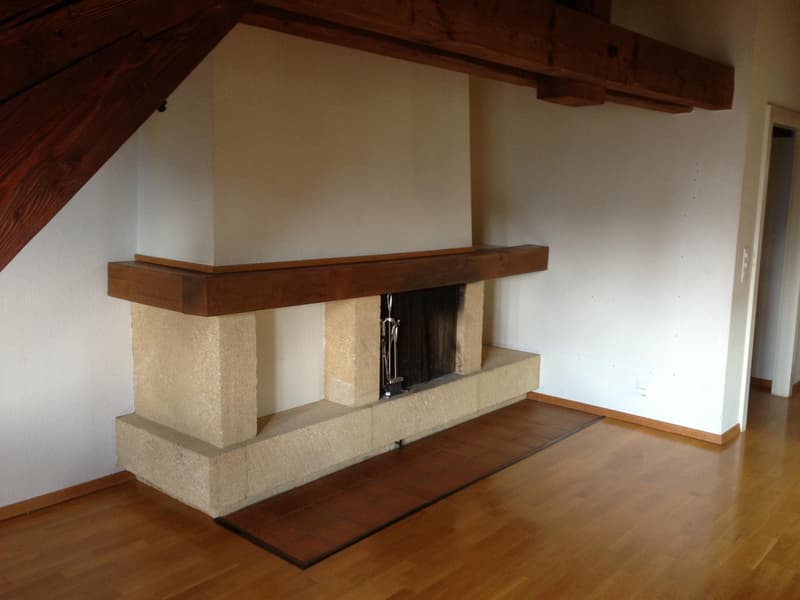 Apartment with 4.5 rooms in Lausanne (3)
