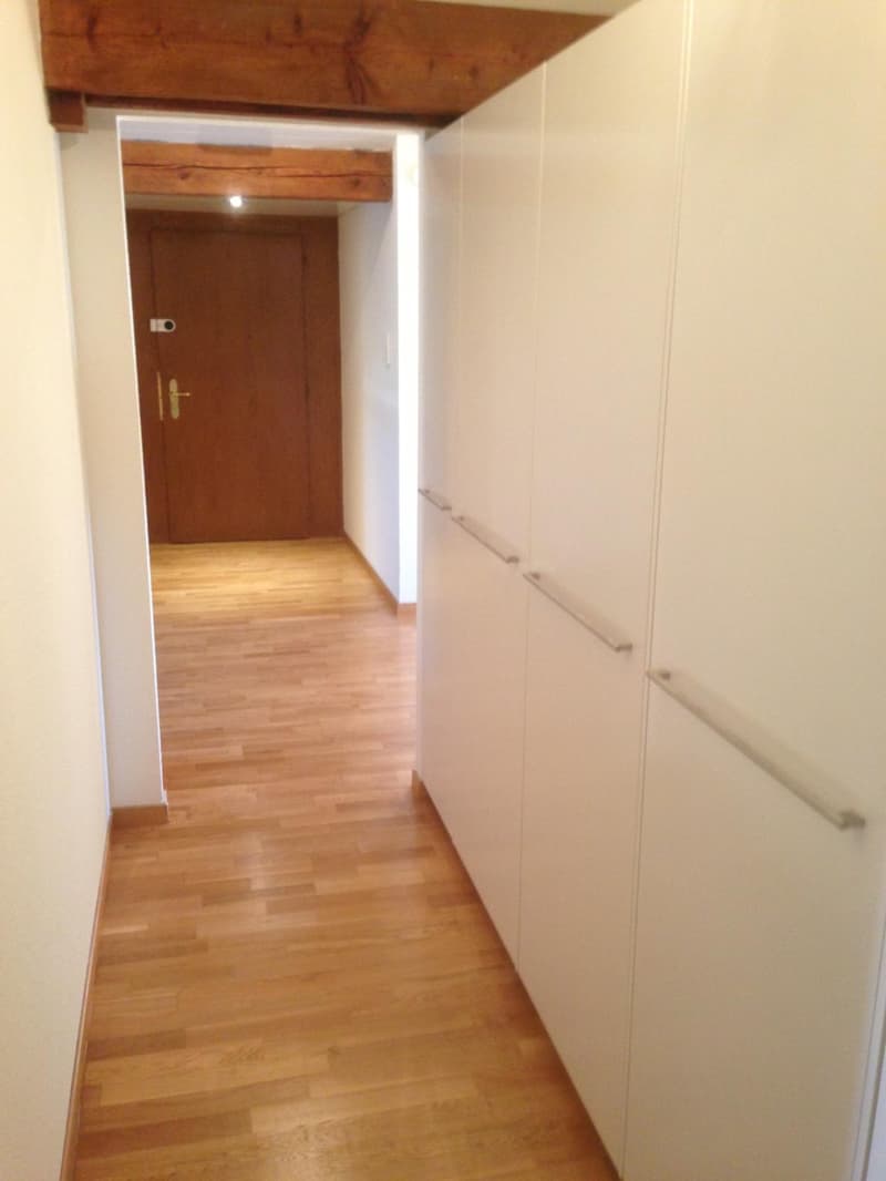 Apartment with 4.5 rooms in Lausanne (2)