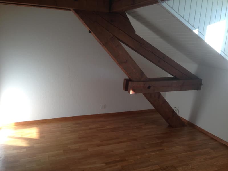 Apartment with 4.5 rooms in Lausanne (9)