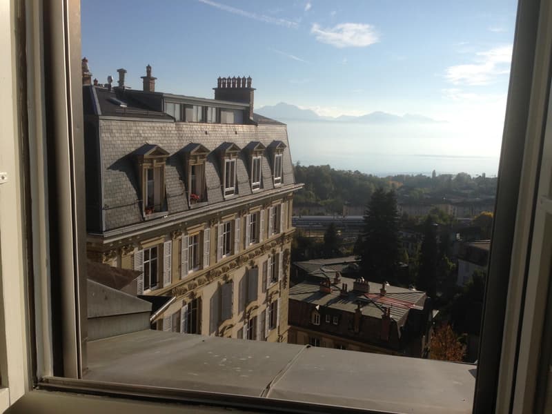 Apartment with 4.5 rooms in Lausanne (12)