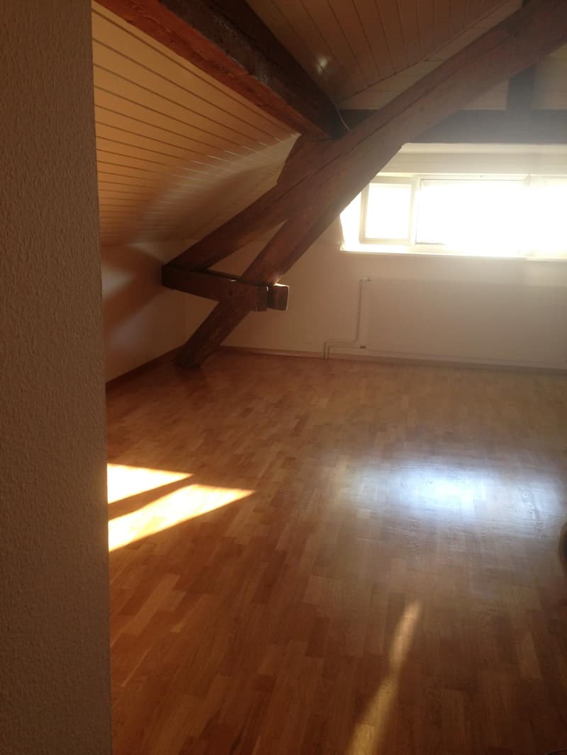 Apartment with 4.5 rooms in Lausanne (7)
