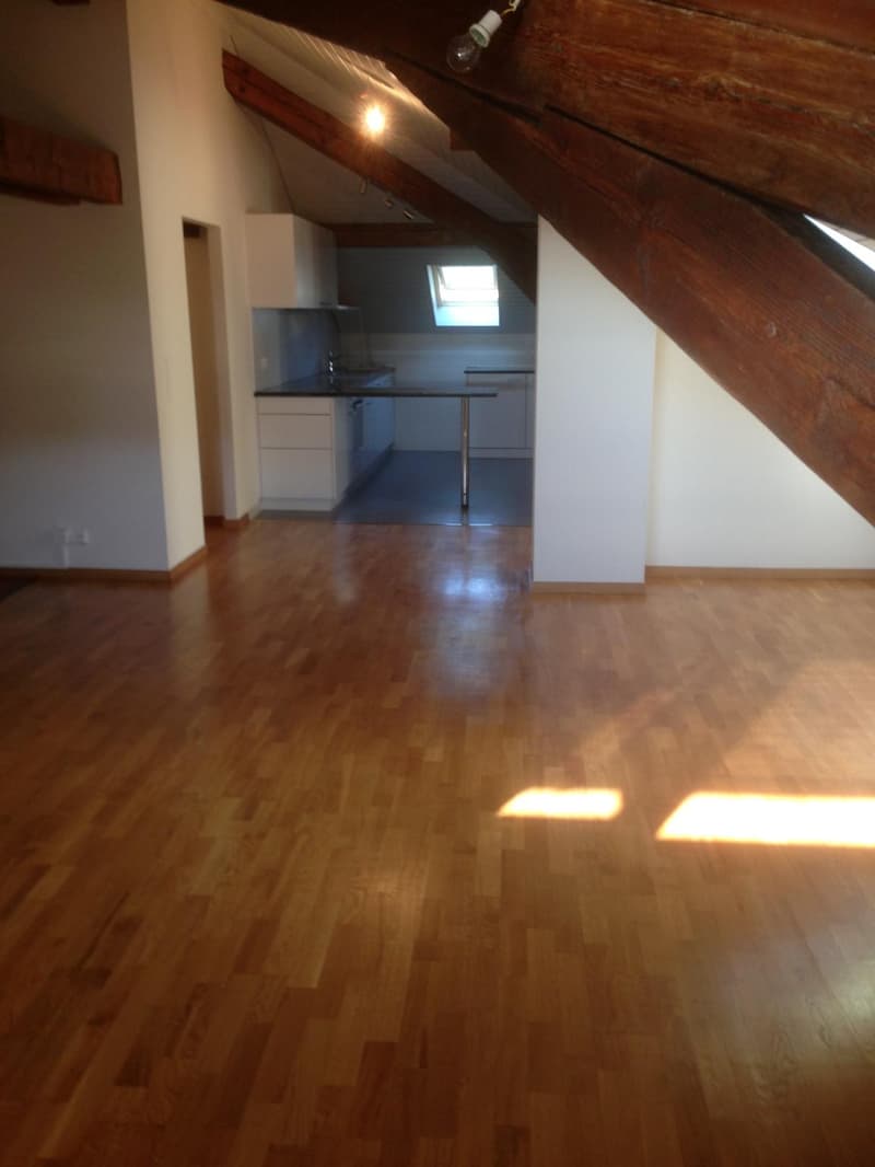 Apartment with 4.5 rooms in Lausanne (4)