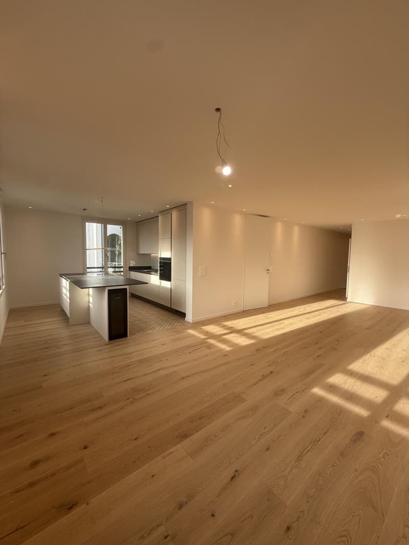 New 3.5-room apartment with a nice view in Montreux (4)