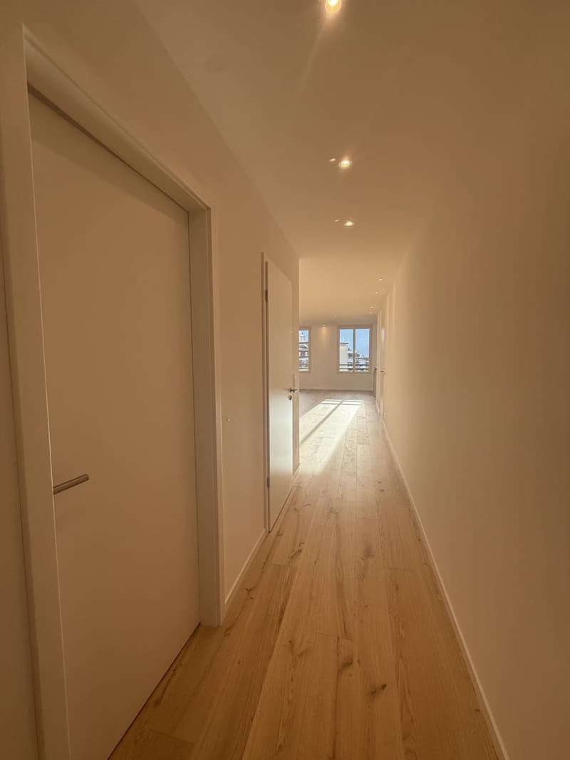 New 3.5-room apartment with a nice view in Montreux (11)