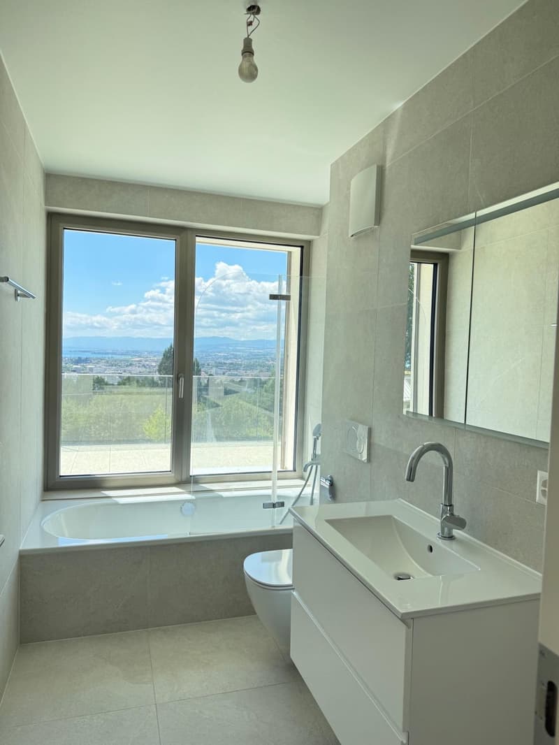 2.5 rooms in attic with large terrace and lake view (5)