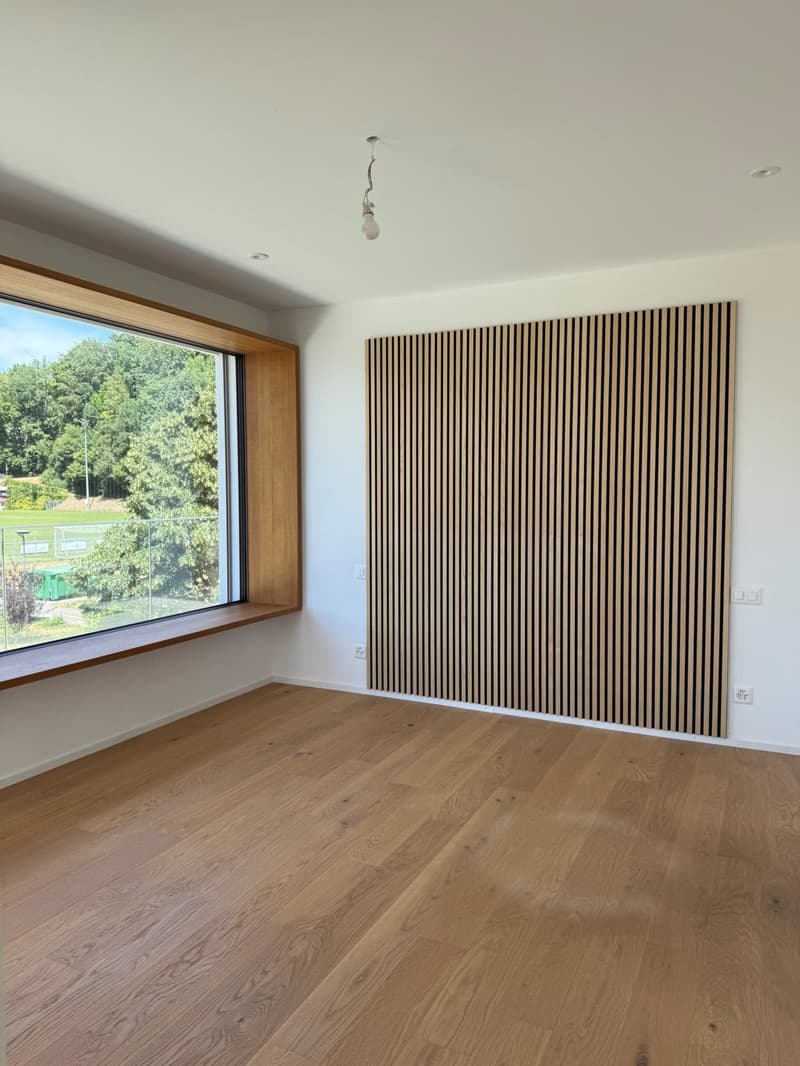 2.5 rooms in attic with large terrace and lake view (6)