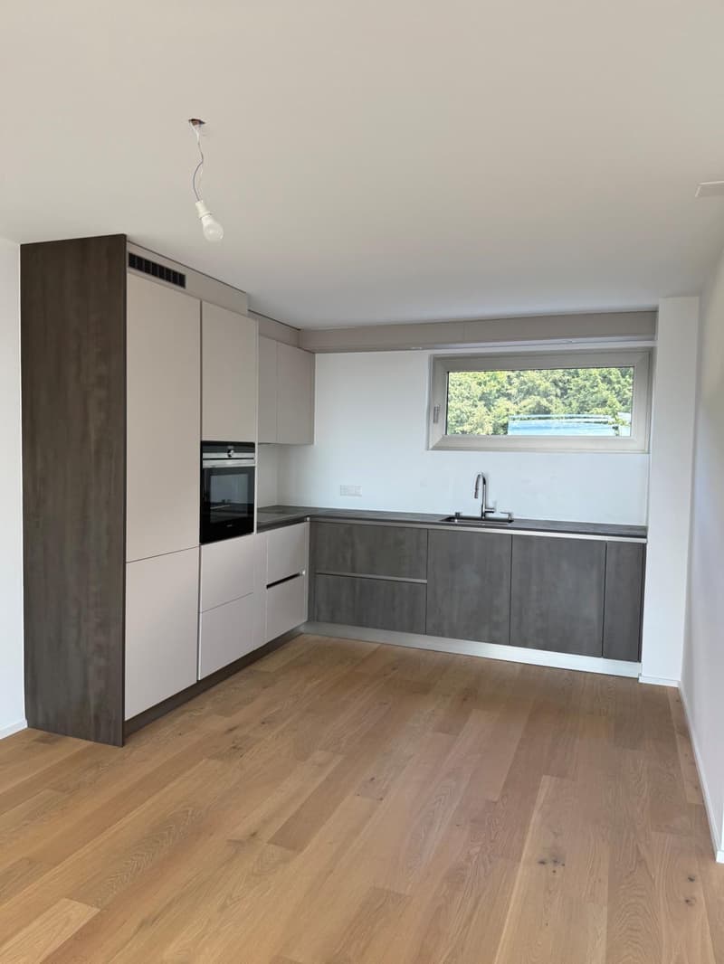 2.5 rooms in attic with large terrace and lake view (4)