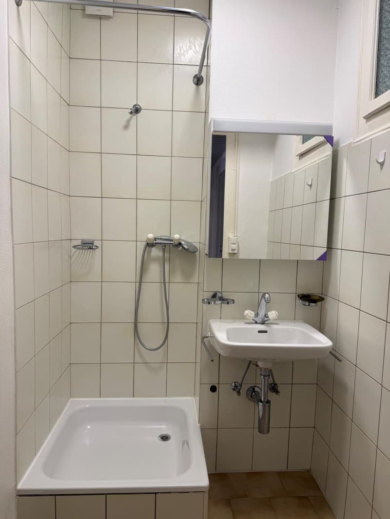 Beautiful 3.5-room apartment close to the lake (6)