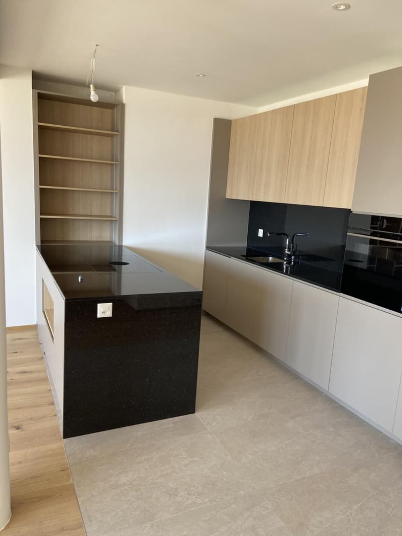 Meraviglioso appartamento di 4 locali completamente ristrutturato con bella terrazza (5)