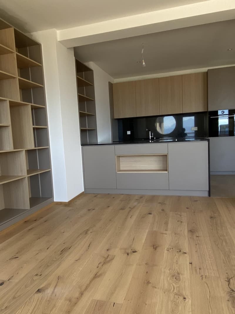 Meraviglioso appartamento di 4 locali completamente ristrutturato con bella terrazza (3)