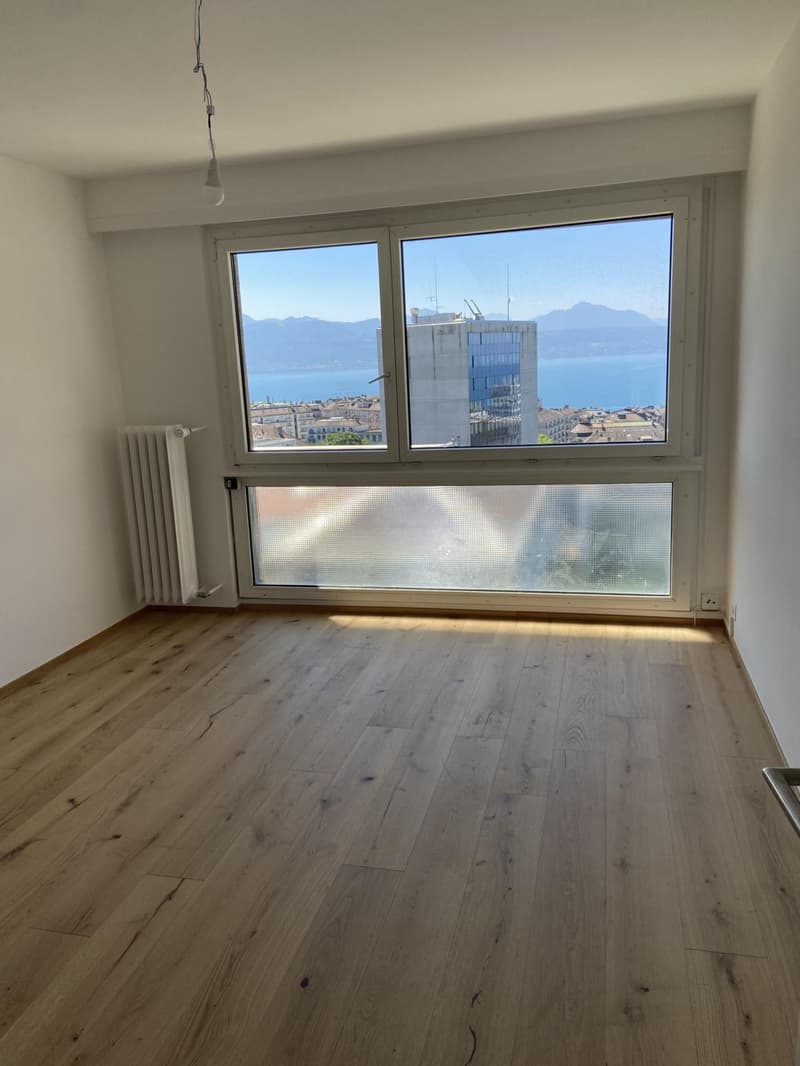 Meraviglioso appartamento di 4 locali completamente ristrutturato con bella terrazza (10)