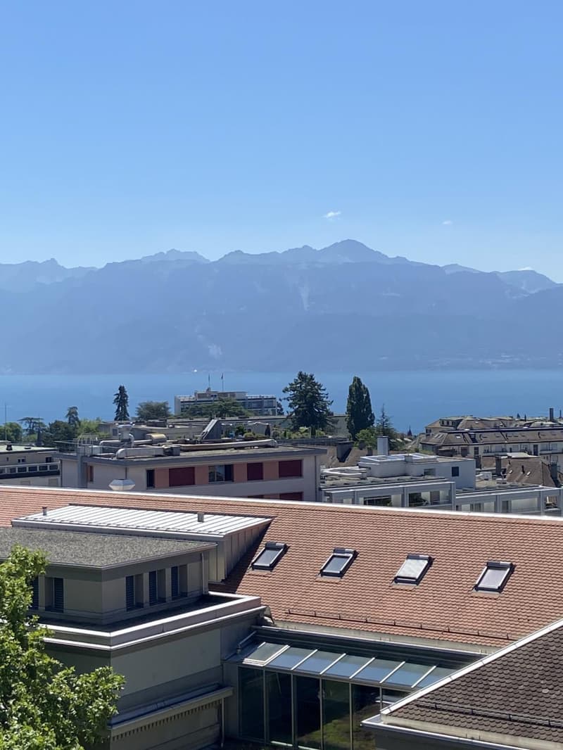 Meraviglioso appartamento di 4 locali completamente ristrutturato con bella terrazza (2)